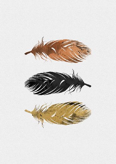 Feathers