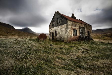 Wind-blown Grass