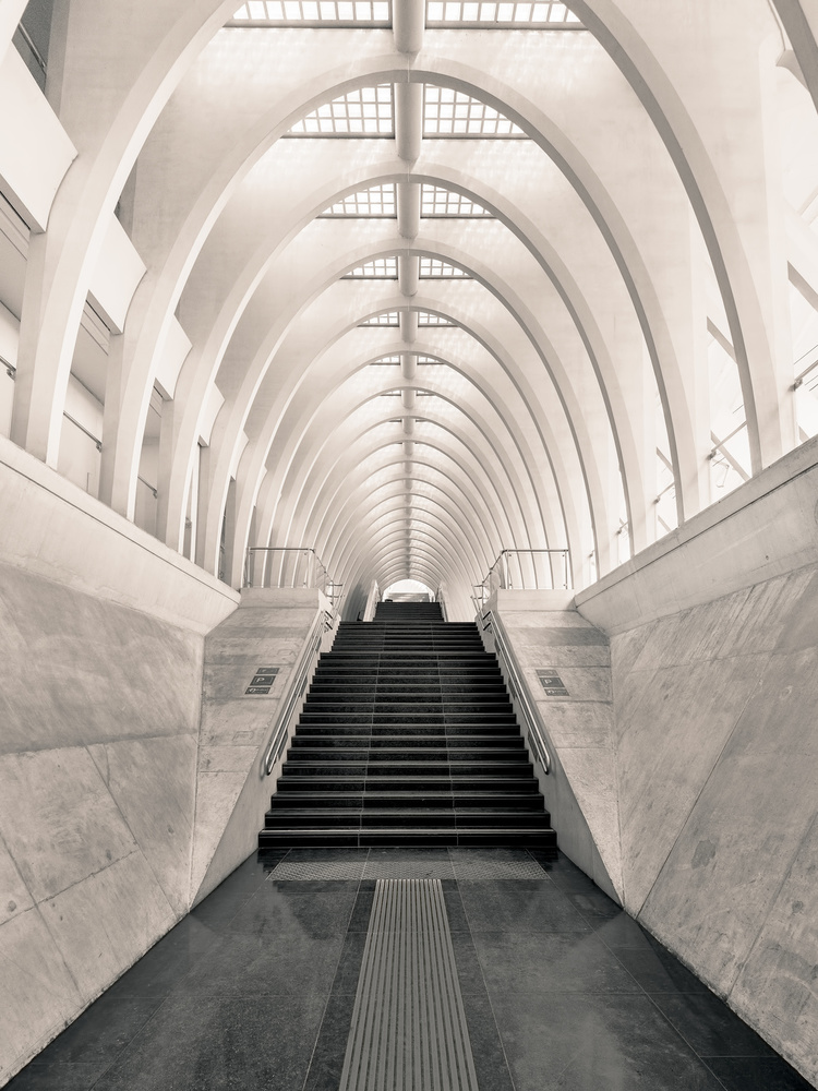 Inside Calatrava de Oscar Lopez