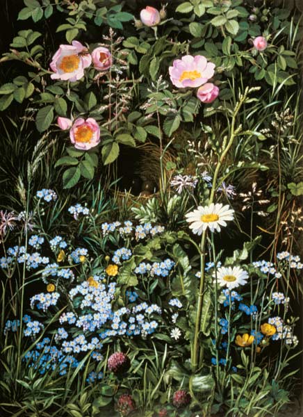 Game roses, forget-me-not and Margueriten de Otto Diderik Ottesen