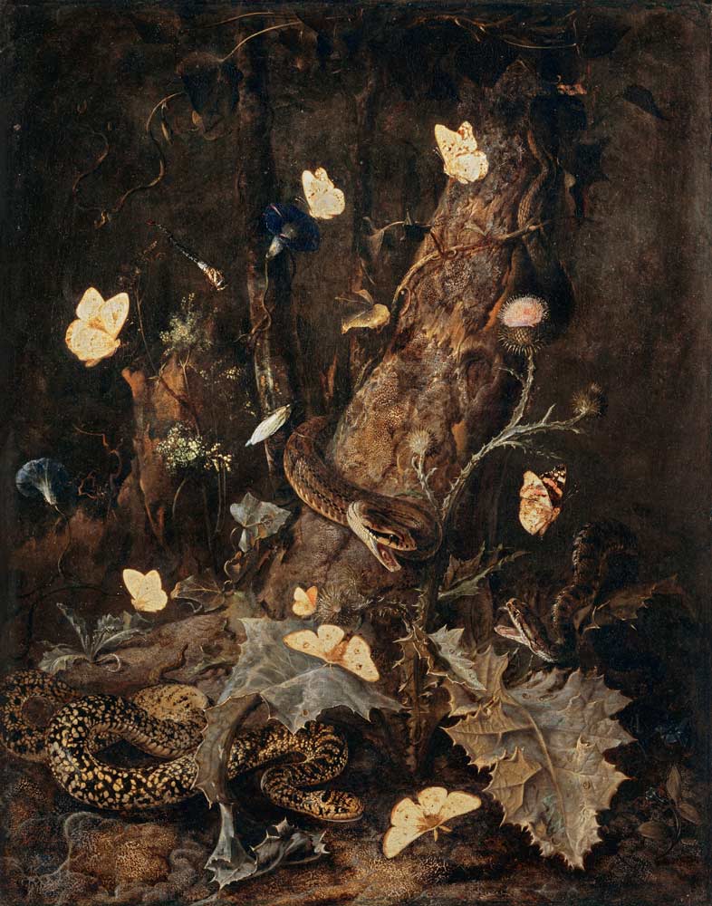 Snakes and Butterflies de Otto Marseus van Schrieck