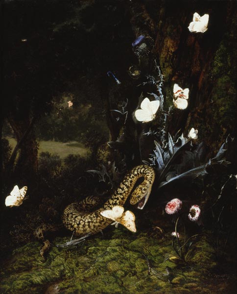 Grashüpfer, Schlange und Schmetterlinge bei einer Distel de Otto Marseus van Schrieck