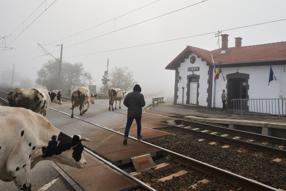 Morning at the Station de Panfil Pirvulescu