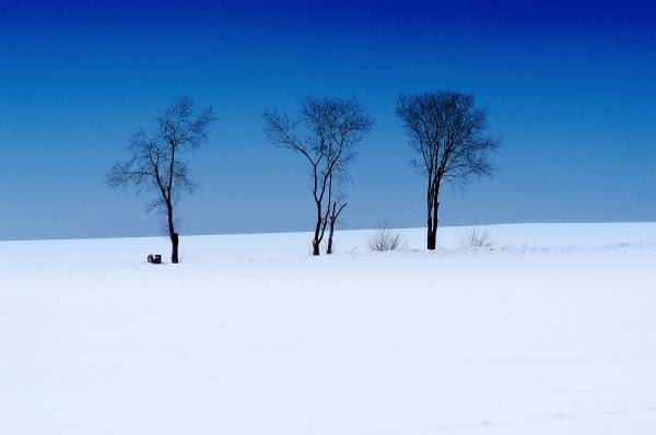 Winterlandschaft 1 de 