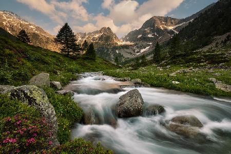 Maritime Alps Park