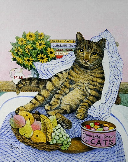 A Purrfect Place de Pat  Scott