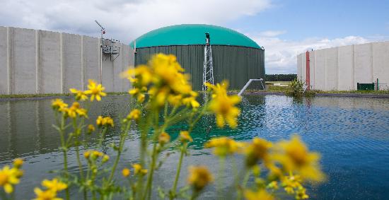 Biogasanlage in Turnow de Patrick Pleul