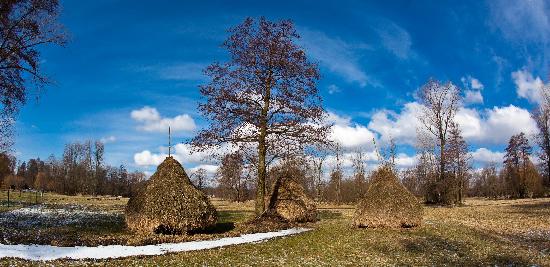 Heuschober im Spreewald de Patrick Pleul