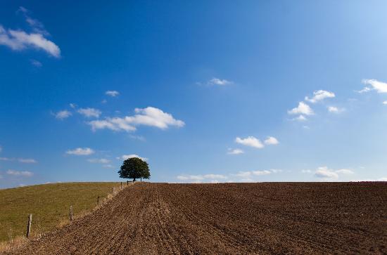 Landschaft der Uckermark de Patrick Pleul