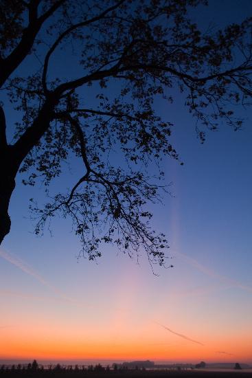 Morgenstimmung in Brandenburg de Patrick Pleul