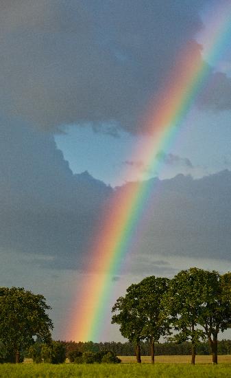 Regenbogen über Brandenburg de Patrick Pleul