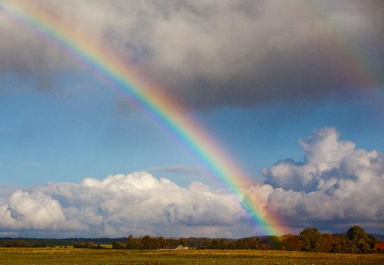 Regenbogen über Herbstlandschaft de Patrick Pleul