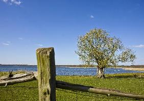 Frühling in der Uckermark