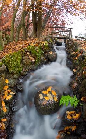 Herbst in der Mark Brandenburg