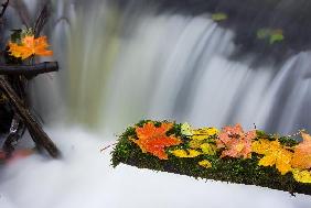 Herbstfeature in Märkisch-Oderland