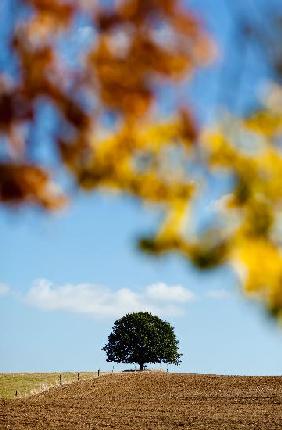 Herbstliche Landschaft der Uckermark