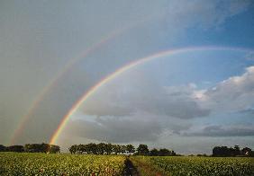 Regenbogen über Brandenburg