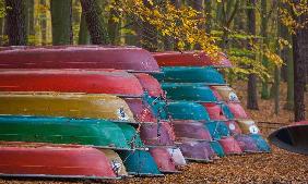 Ruderboote im Herbstwald am Stechlinsee