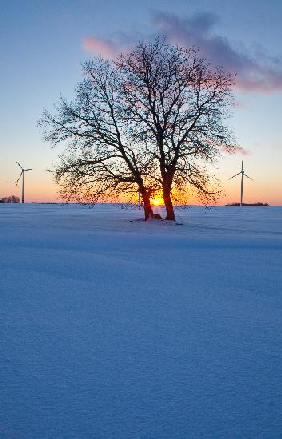 Sonnenuntergang in Brandenburg