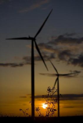 Sonnenuntergang zwischen Windrädern