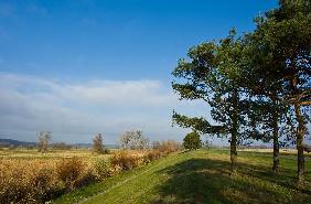 Spätherbst im Nationalpark Unteres Odertal