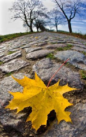 Spätherbst in der Uckermark