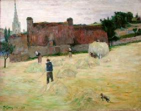 Haymaking in Brittany