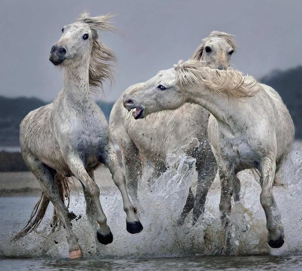 Move Over.... de Paul Keates