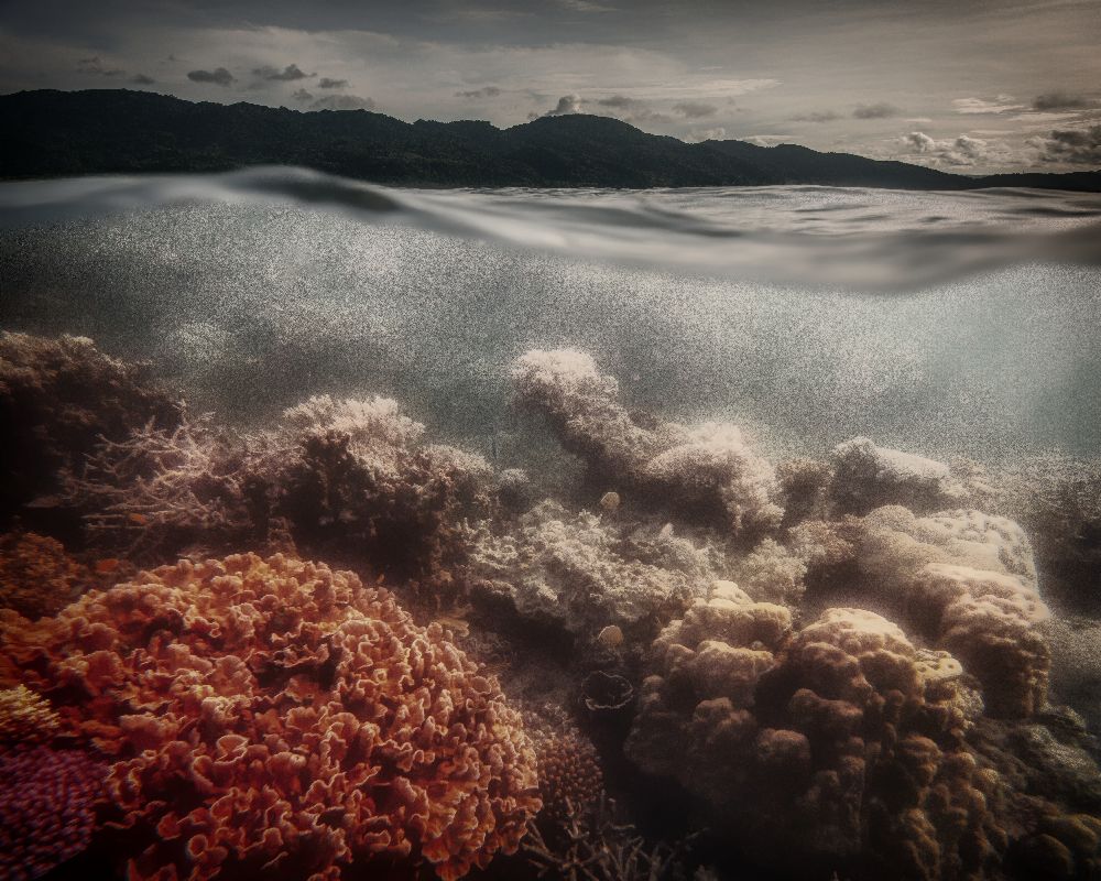 underwater evening de Pavol Stranak