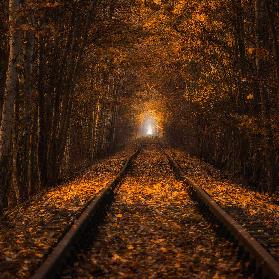 Autumn Tunnel