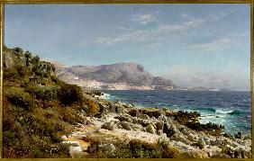 Coast near Monte Carlo