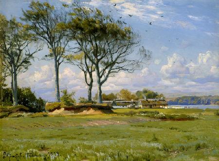 Spring Landscape