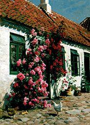 Climbing roses at the farmhouse.