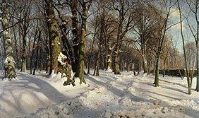 Snow-covered winter woods in the sunlight.