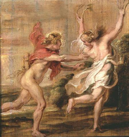 Apollo and Daphne de Peter Paul Rubens