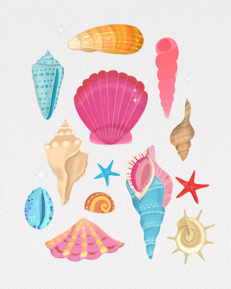 Seashells de Petra Lizde