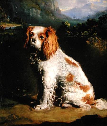 A King Charles Spaniel de Philip Reinagle