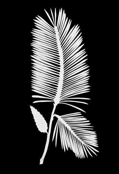 Palmwedel.