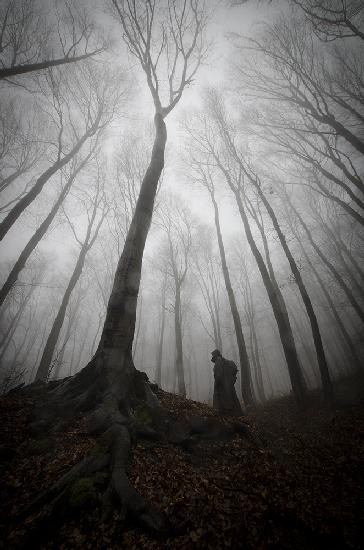 Mysterious silhouette under giant tree