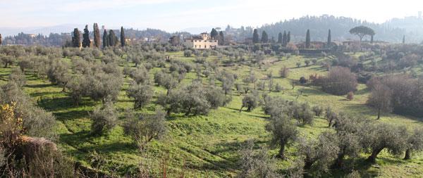 Paisaje de colina cerca de Florencia