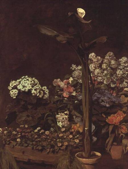 Arum and Hothouse Plants de Pierre-Auguste Renoir
