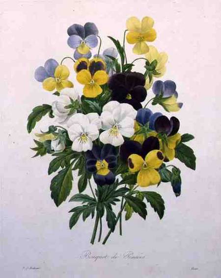 Bouquet of Pansies, engraved by Victor, from 'Choix des Plus Belles Fleurs' de Pierre Joseph Redouté