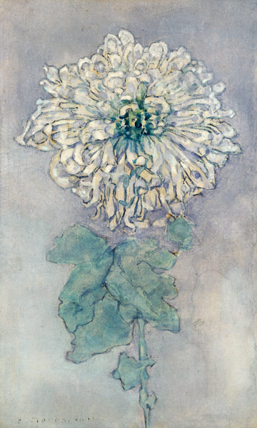 Chrysanthemum de Piet Mondrian