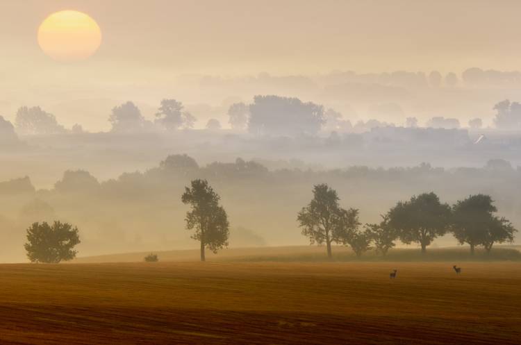 morning view de Piotr Krol (Bax)