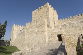 Exterior view of the castle (photo) 