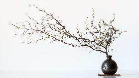 Vase And Branch