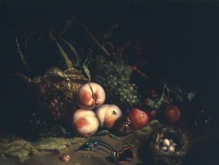 Still life with fruit (panel) de Rachel Ruysch