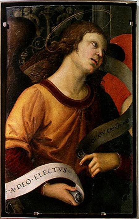 Angel, from the polyptych of St. Nicolas of Tolentino de Raffaello Sanzio