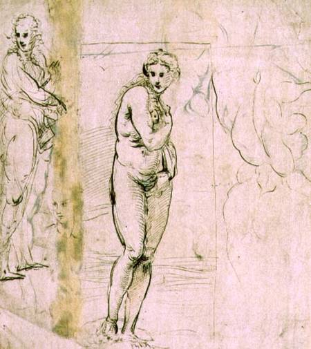 Study of Venus (pen & ink) de Raffaello Sanzio