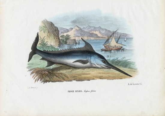 Swordfish de Raimundo Petraroja